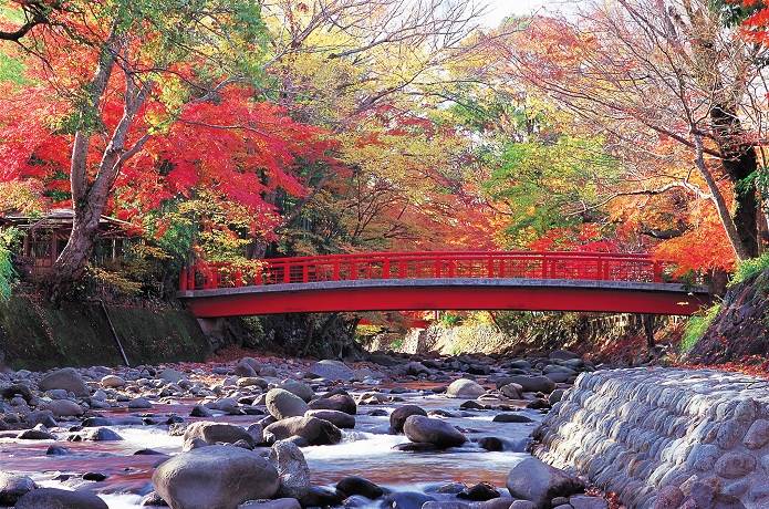 修善寺近くの橋と桂川
