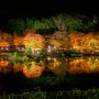 伊豆の紅葉と夜