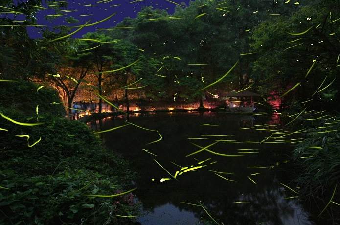 伊豆の竹ヶ沢公園