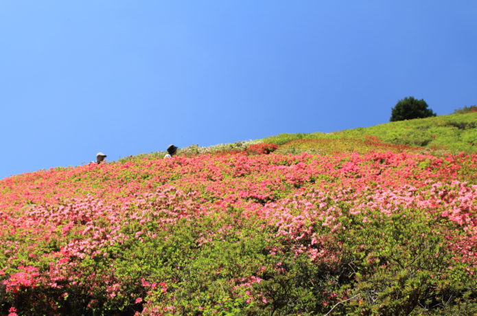 姫の沢公園の画像