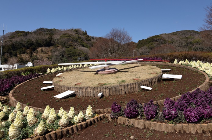 道の駅の花の三聖苑伊豆松崎の画像
