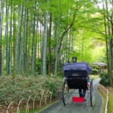 修善寺観光のモデルコースとおすすめ観光スポット18選を紹介！