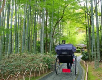 修善寺観光のモデルコースとおすすめ観光スポット18選を紹介！