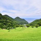 石部の棚田