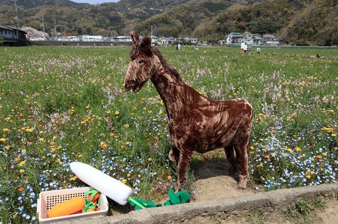 花畑とかかし