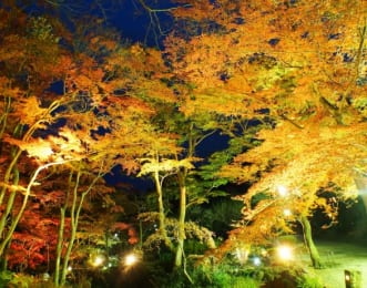 熱海梅園の紅葉の画像