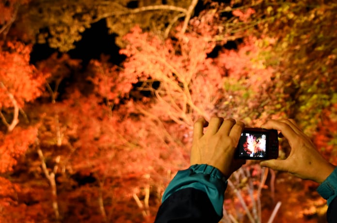 熱海花めぐりフォトコンテストの画像