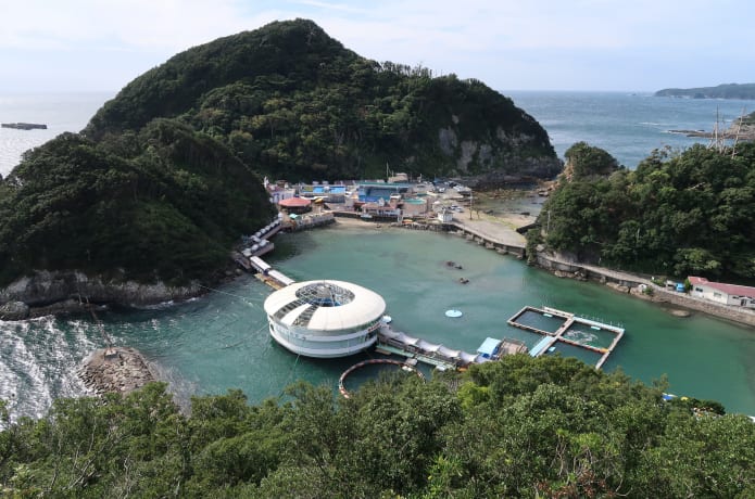 下田海中水族館の画像