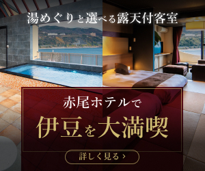 贅沢ステイで優雅にくつろぐ赤尾ホテルの特別室で格別のひと時を
