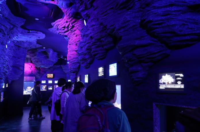 深海水族館　1階