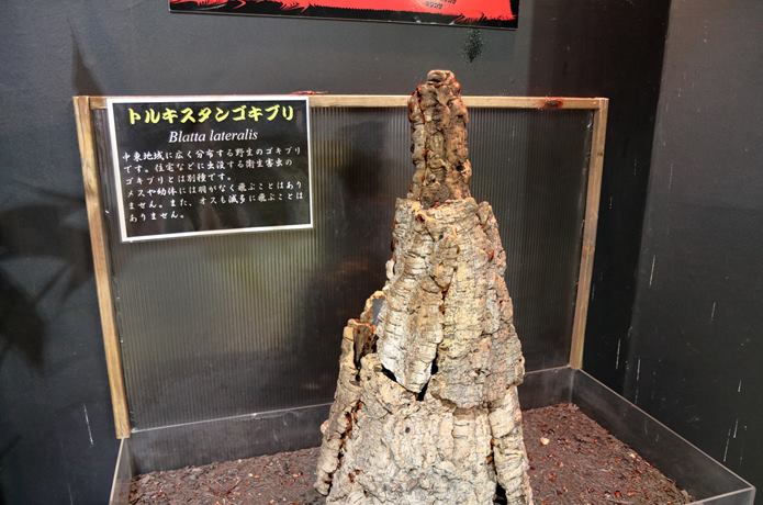 ゴキブリタワー