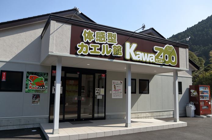 カワズ―正面