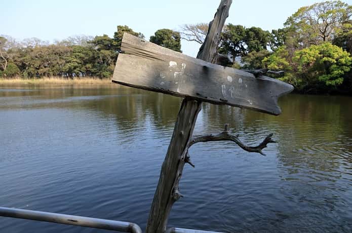 神社と神池