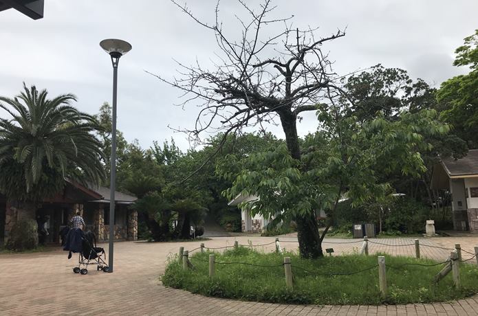 大島公園