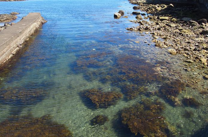 恵比須島と海底