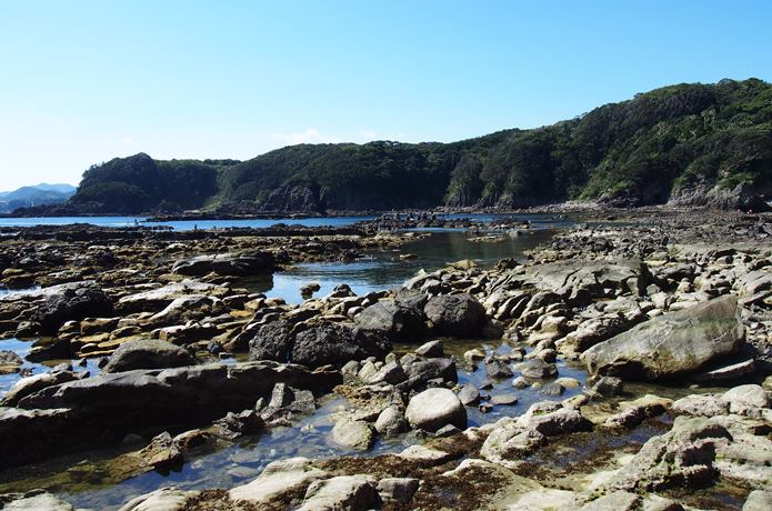 恵比須島　磯