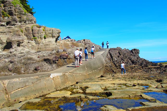 恵比須島