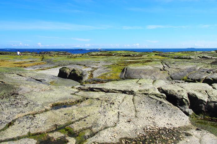 恵比須島　海側
