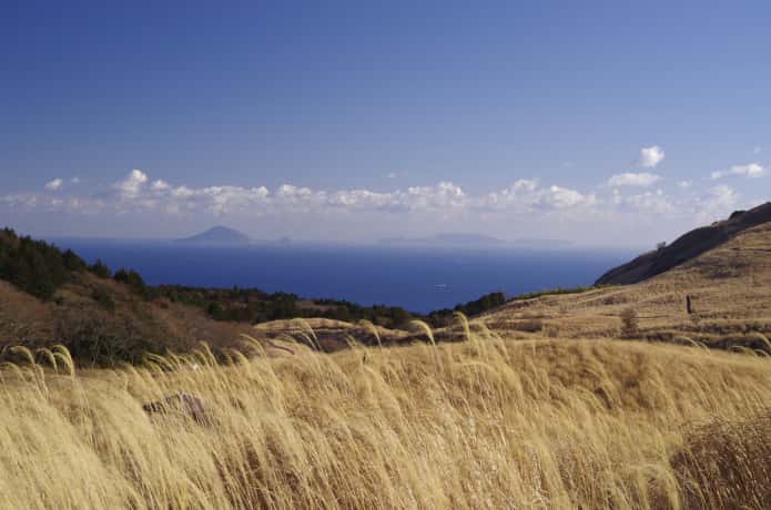 細野高原