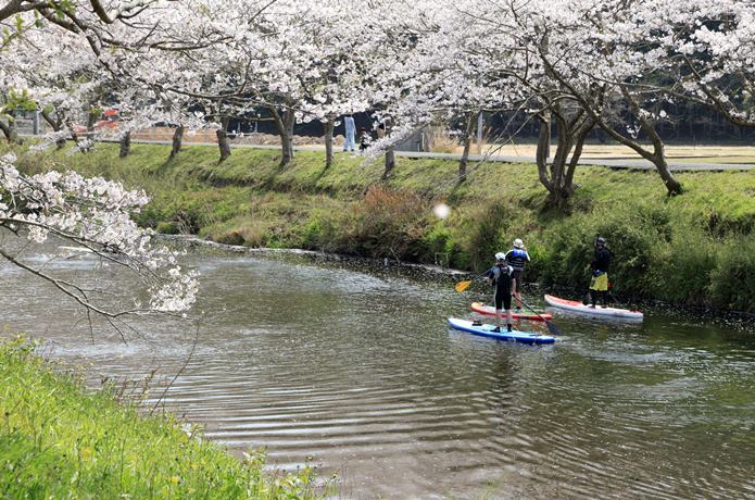 那賀川でSUPをやる人