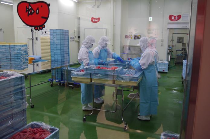 めんたいぱーく伊豆　工場内で作業する人々