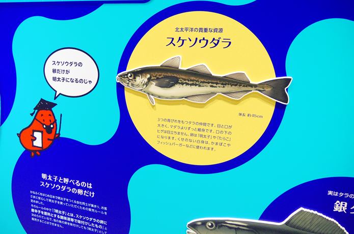 めんたいぱーく伊豆　パネル展示