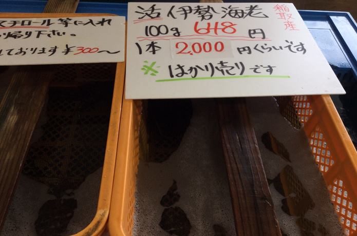 こらぅしぇ　イセエビ