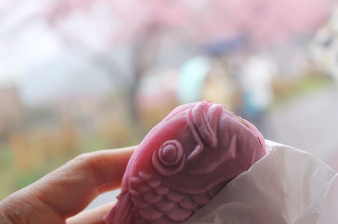桜たいやき