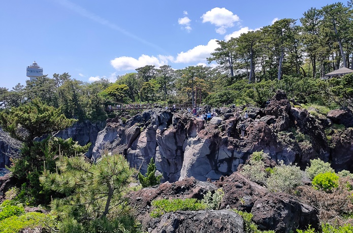 城ヶ崎海岸　溶岩の海岸