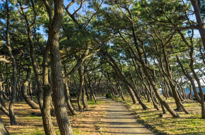千本松公園
