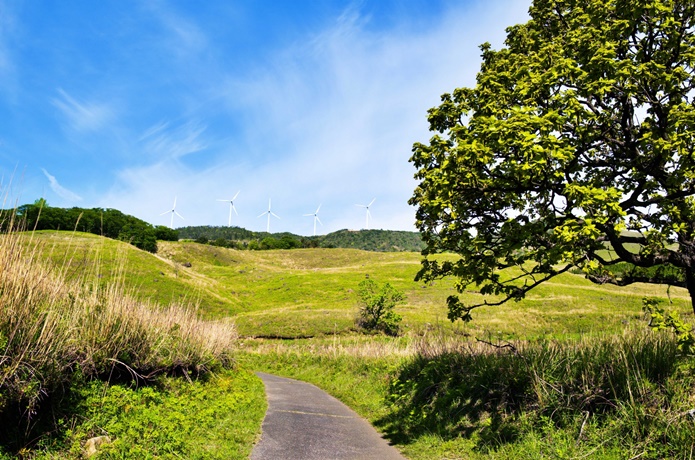 稲取細野高原