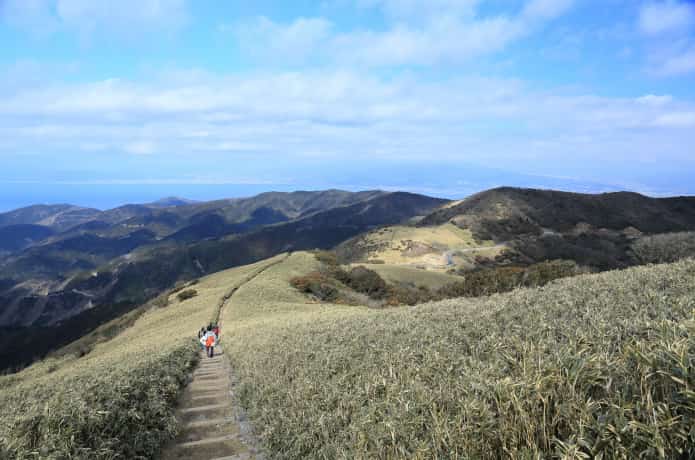 達磨山高原