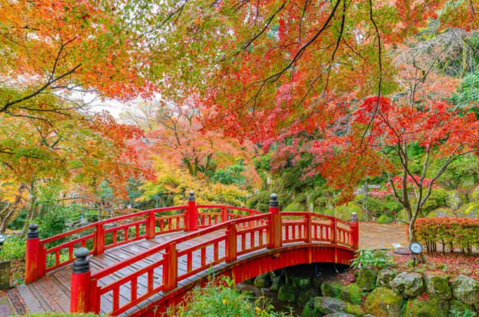 熱海梅園　紅葉　橋