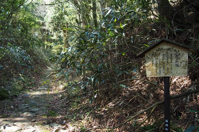 箱根八里　赤石坂
