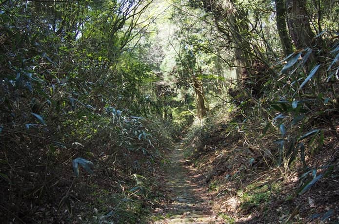 箱根八里　石畳