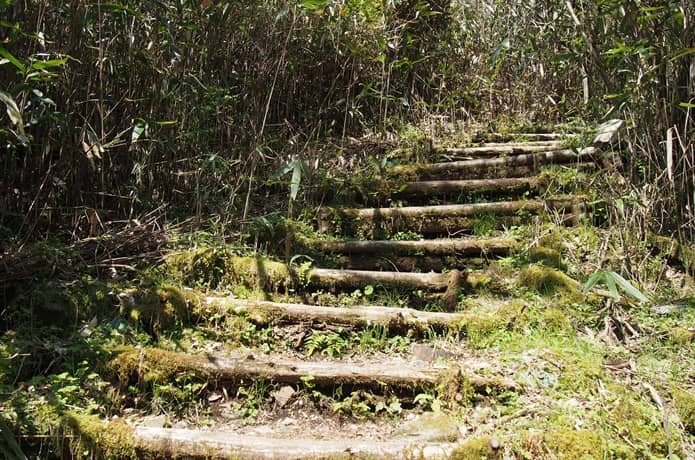 箱根八里　階段