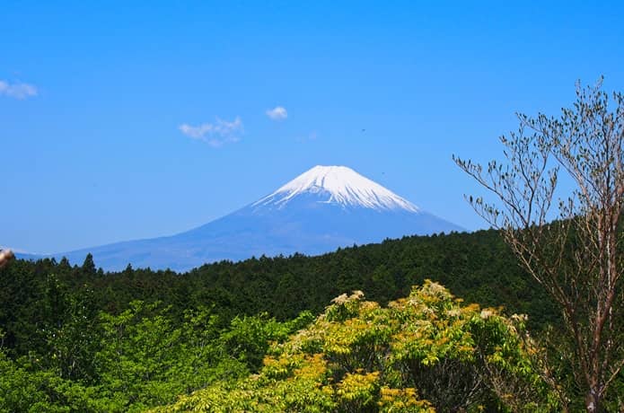 箱根旧街道　富士山