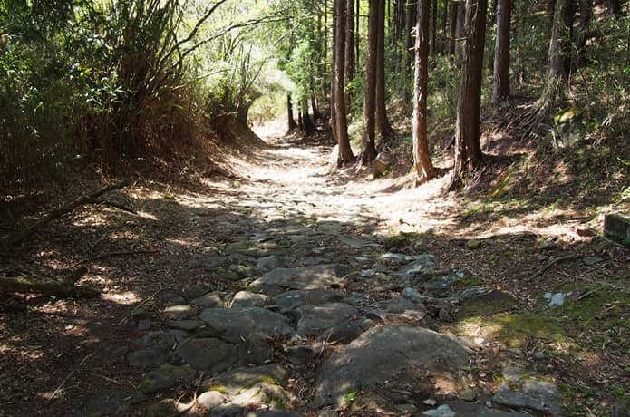 箱根旧街道　下り坂