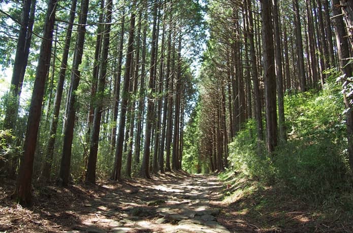 石畳　箱根旧街道