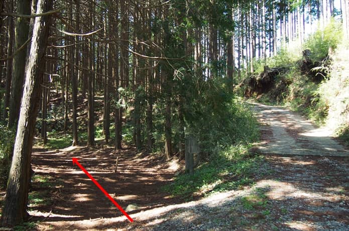 箱根旧街道　分岐点