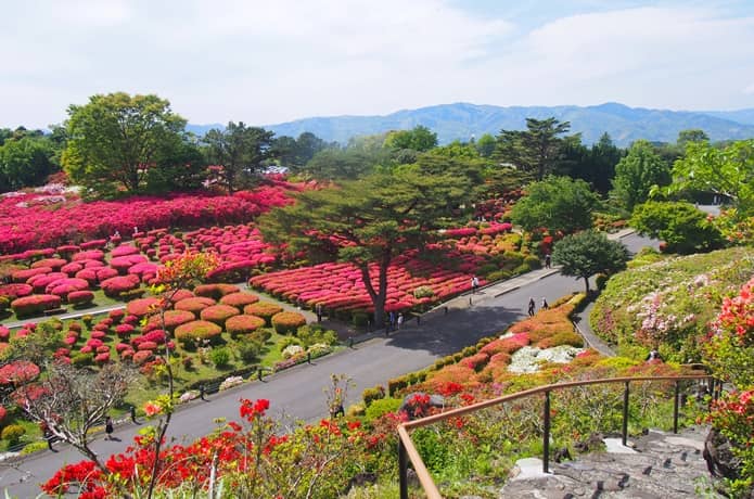 小室山　つつじ園