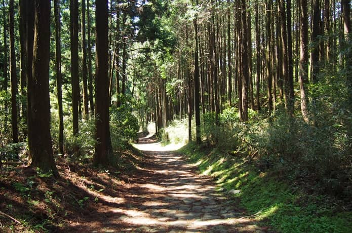箱根旧街道　願合寺区　石畳