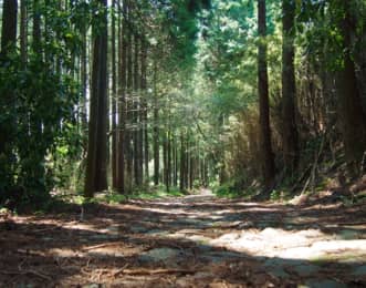 箱根旧街道　願合寺区