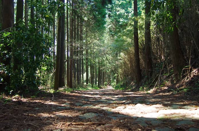 箱根旧街道　願合寺区