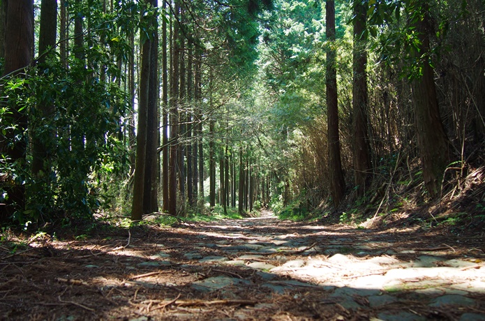 箱根旧街道　願合寺区