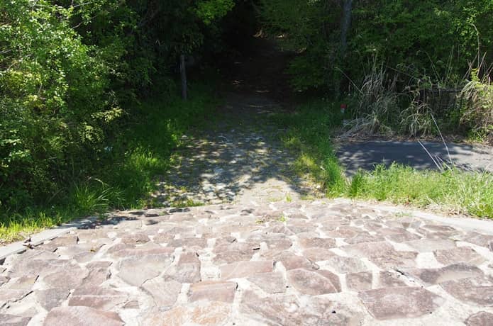 箱根旧街道　入口