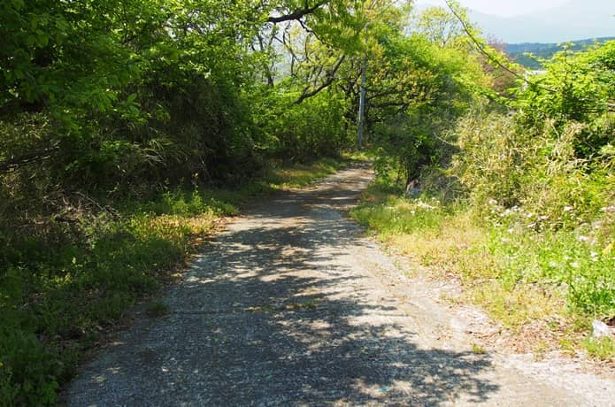 箱根旧街道石畳（上長坂地区）