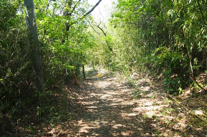 上長坂地区の石畳