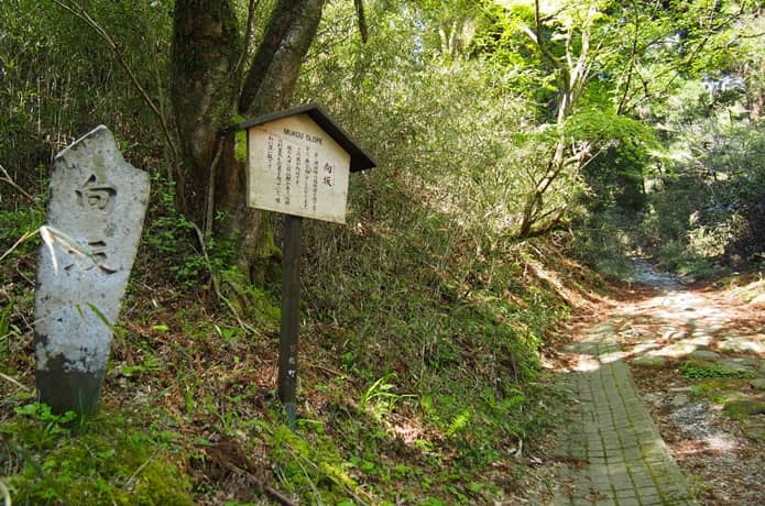 箱根八里　向坂