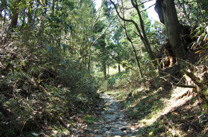 箱根八里　向坂